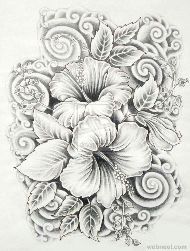 Drawing Of Gumamela Flower 45 Beautiful Flower Drawings and Realistic Color Pencil Drawings