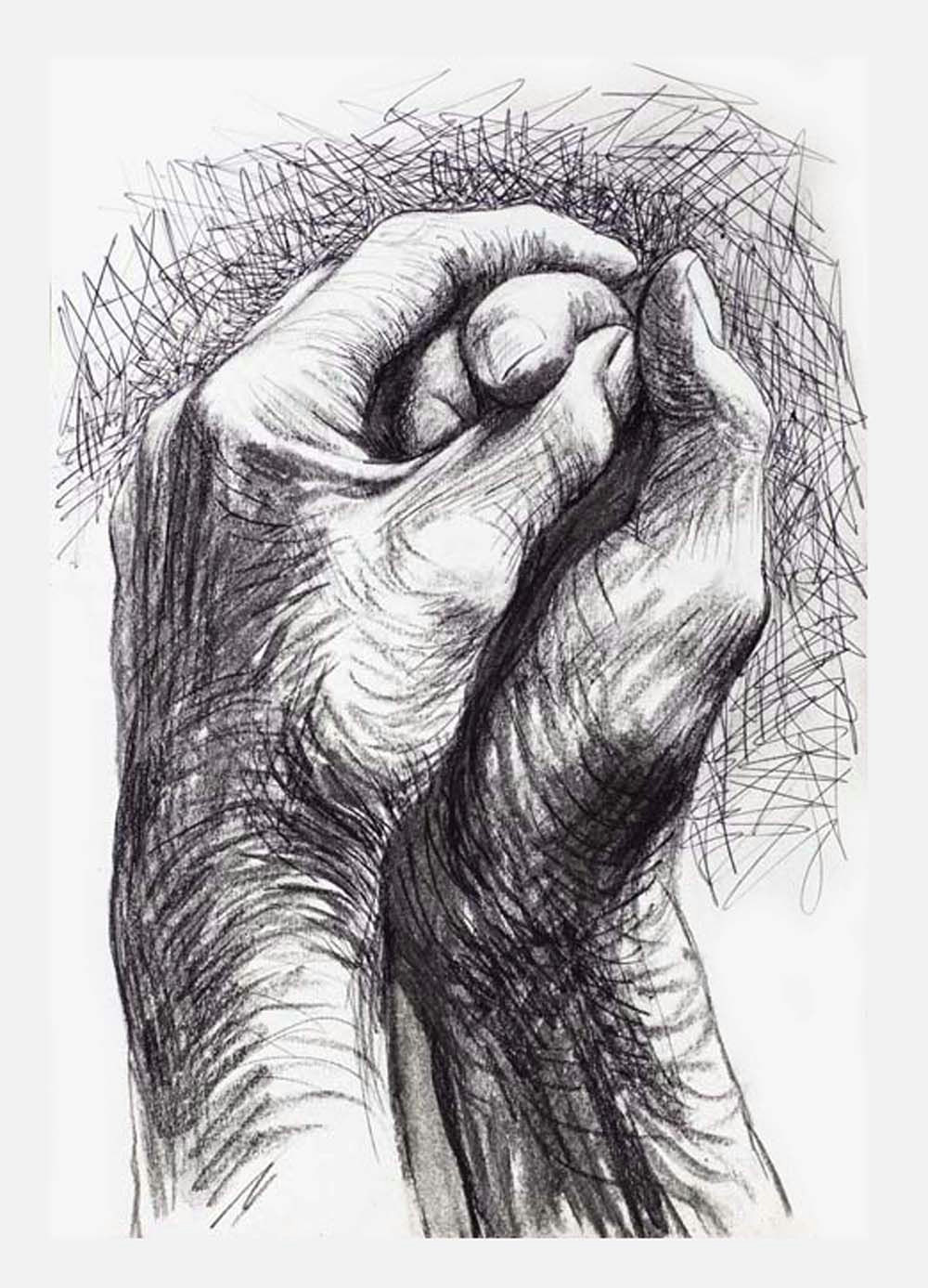 Drawing Of Hands Clasped Cave to Canvas Alecshao Henry Moore the Artist S Hands 1974 Two