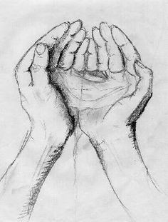 Drawing Of Hands Cupped 403 Best Drawing Ref Images In 2019 Drawing Techniques Drawing