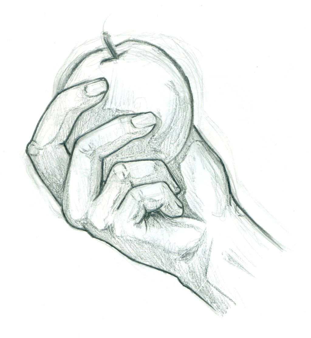 Drawing Of Hands Cupped A Hand Holding An Apple Drawing Google Search Hands Drawings