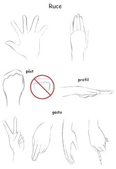 Drawing Of Hands Making A Heart 283 Best Hand Sketch Images