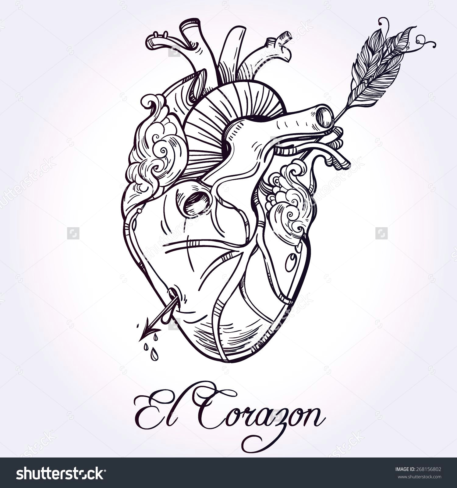 Drawing Of Heart and Arrow Sketched Hand Drawn Line Art Beautiful Human Heart with Arrow El