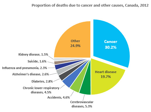 Drawing Of Heart Cancer Cancer Statistics at A Glance Canadian Cancer society