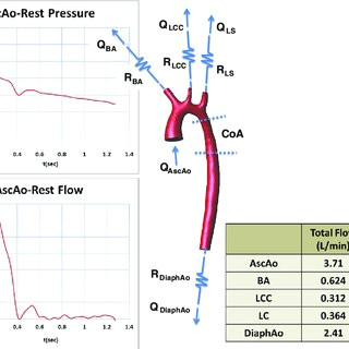 Drawing Of Heart Circulation 10 Coupling Of 0d Heart Model with 1d Model Systemic Circulation