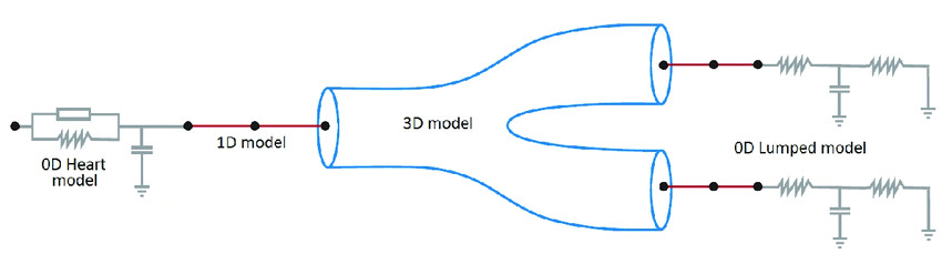 Drawing Of Heart Circulation 10 Coupling Of 0d Heart Model with 1d Model Systemic Circulation