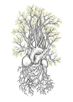 Drawing Of Heart Tree 1875 Best Human Heart Images In 2019 Feminist Art Embroidery