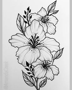 Drawing Of Hibiscus Flowers 99 Best Flower Design Drawing Images Drawing Flowers Floral
