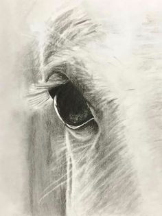 Drawing Of Horse Eye Horse Drawings Horses Drawings Drawings Horses Charcoal Drawings