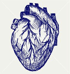 Drawing Of Human Heart Color 1875 Best Human Heart Images In 2019 Feminist Art Embroidery