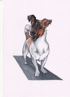 Drawing Of Jack Russell Dog 222 Best Jack Russell Terrier Art and Gifts Images In 2019 Jack