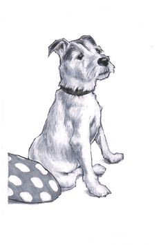 Drawing Of Jack Russell Dog 222 Best Jack Russell Terrier Art and Gifts Images In 2019 Jack