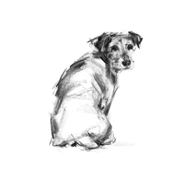 Drawing Of Jack Russell Dog Terrier Drawing Print Jack Russell Terrier Dog Sketch Dog Etsy