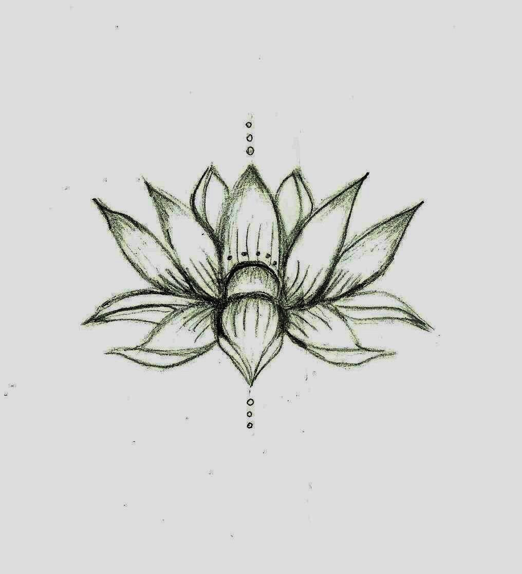 Drawing Of Kamal Flower Love This Lotus Flower Sketcha Would Be A Cute Tat Actual Size
