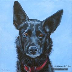 Drawing Of Kelpie Dog 98 Best Kelpie Info Images Pets Gatos Australian Cattle Dog