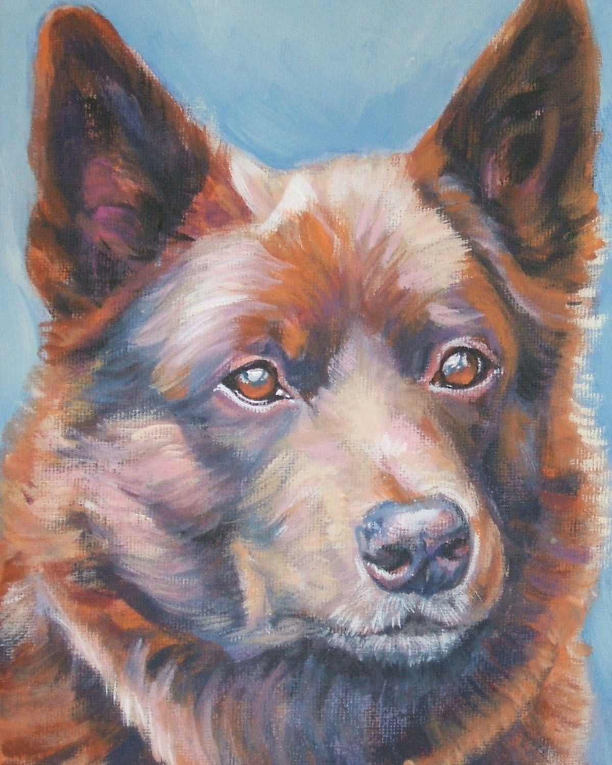 Drawing Of Kelpie Dog Australian Kelpie Dog Portrait Art Canvas Print Of Lashepard