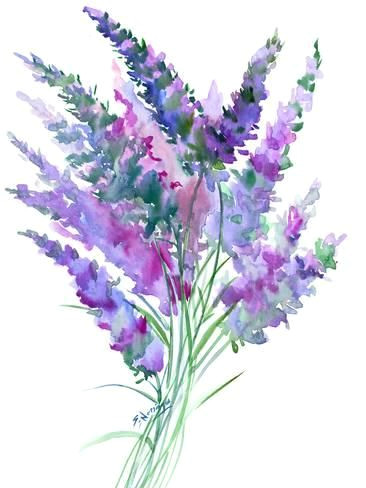 Drawing Of Lavender Flower Lavender Flowersby Suren Nersisyan Products Pinterest