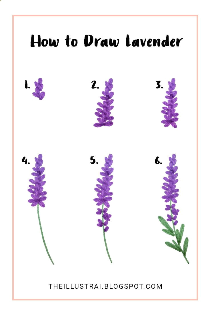 Drawing Of Lavender Flower This is A Very Easy Tutorial On How to Draw Lavender Flowers In Six