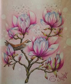 Drawing Of Magnolia Flower 1383 Best Artimages Flowers Magnolia because Of the Giant Tulip