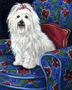 Drawing Of Maltese Dog 108 Best Maltese Dog Images Maltese Drawings Of Dogs Maltese Dogs