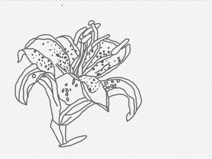 Drawing Of Mango Flower 3 Ways to Draw Manga Plants Wikihow