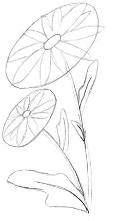 Drawing Of Many Flowers 647 Best Flower Drawings Images In 2019 Drawings Flower Designs