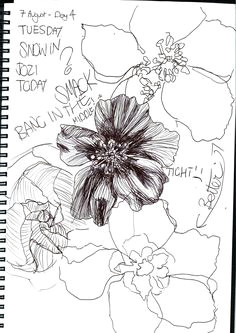 Drawing Of May Flower 1412 Nejlepa A Ch Obrazka Z Nasta Nky Flower Drawings Drawings