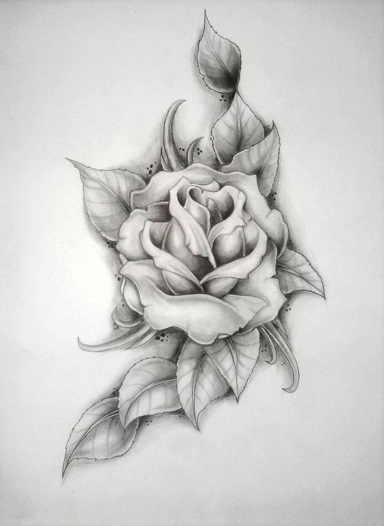 Drawing Of Mogra Flower Rose Tattoo I Want This On My Shoulder with A Red One and Thorn