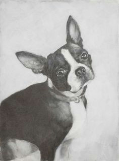 Drawing Of My Dog 156 Best Dogs Images Dog Paintings Drawings Of Dogs Dog Portraits