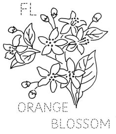 Drawing Of National Flower 107 Best State Flower Blocks Images Coloring Pages Coloring Pages