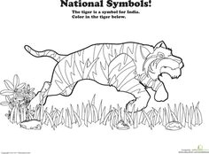 Drawing Of National Flower Of India National Symbols Of India Coloring Printable Pages Holi Festival