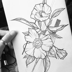 Drawing Of Nature Flowers 215 Best Flower Sketch Images Images Flower Designs Drawing S