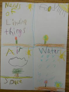 Drawing Of Non Living Things is Called 8 Best Living Vs Non Living Images Science Classroom