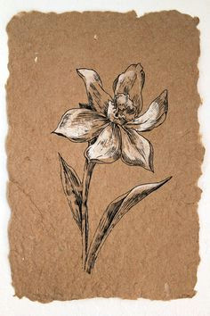 Drawing Of Oleander Flower 126 Nejlepa A Ch Obrazka Z Nasta Nky Flowers Drawing Of Daffodil