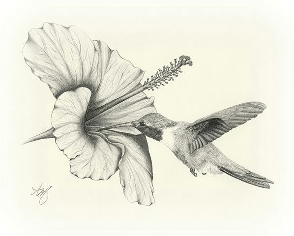 Drawing Of One Flower Amazing Pencil Drawings Flowers Drawing Sketch Art Wildlife Bird