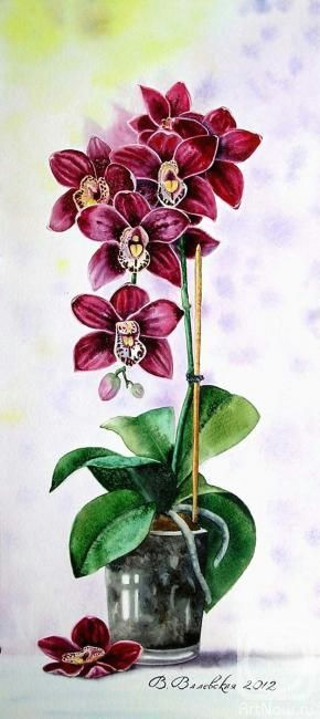 Drawing Of orchid Flower Love the Layout Drawing Sketchs orchids Painting Art Painting