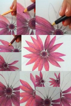 Drawing Of Purple Flowers 142 Best Drawing Flowers Images Draw Paint Flowers