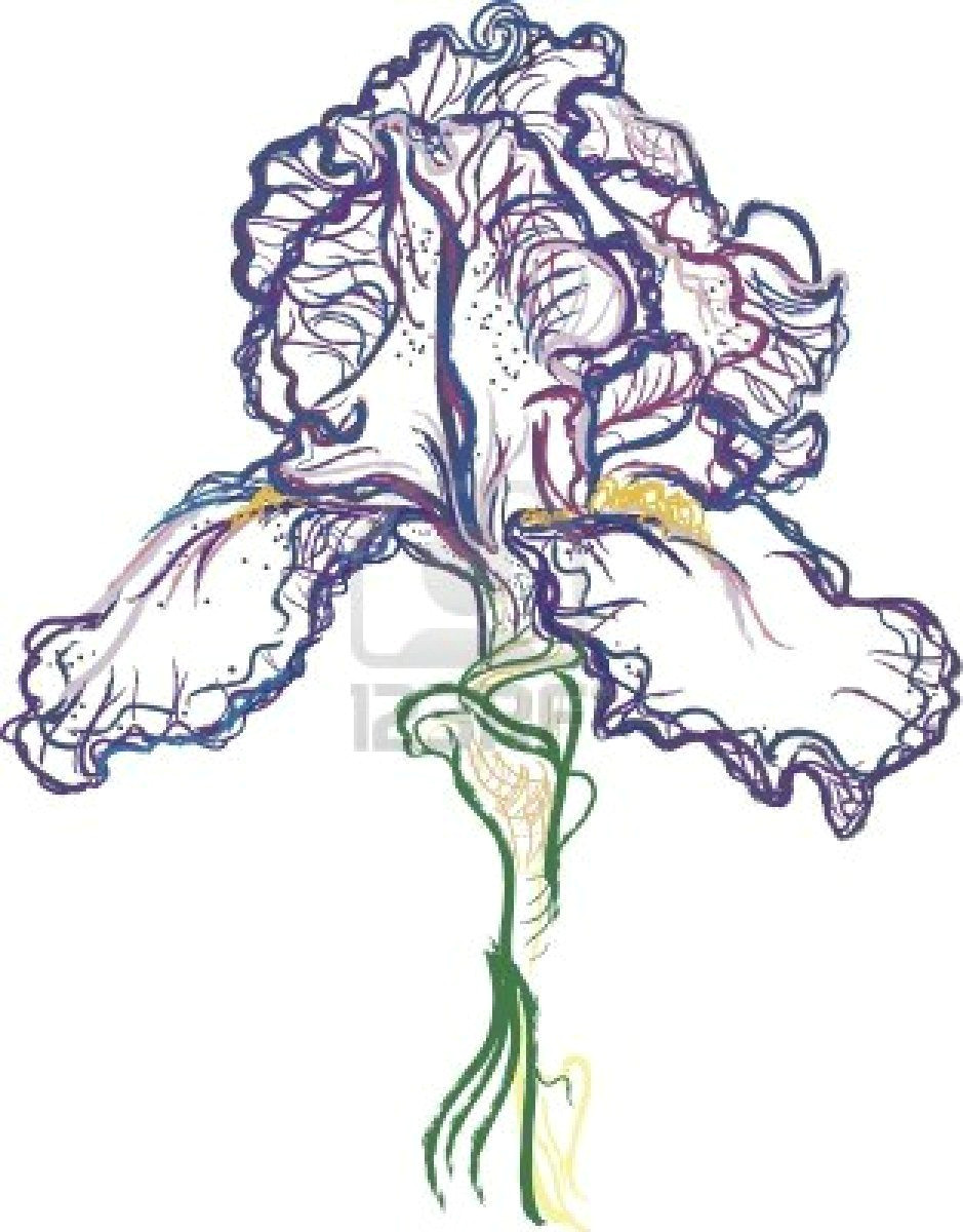 Drawing Of Purple Flowers Vector Drawing Of A Purple Iris Uts Inspired Print Inspiration