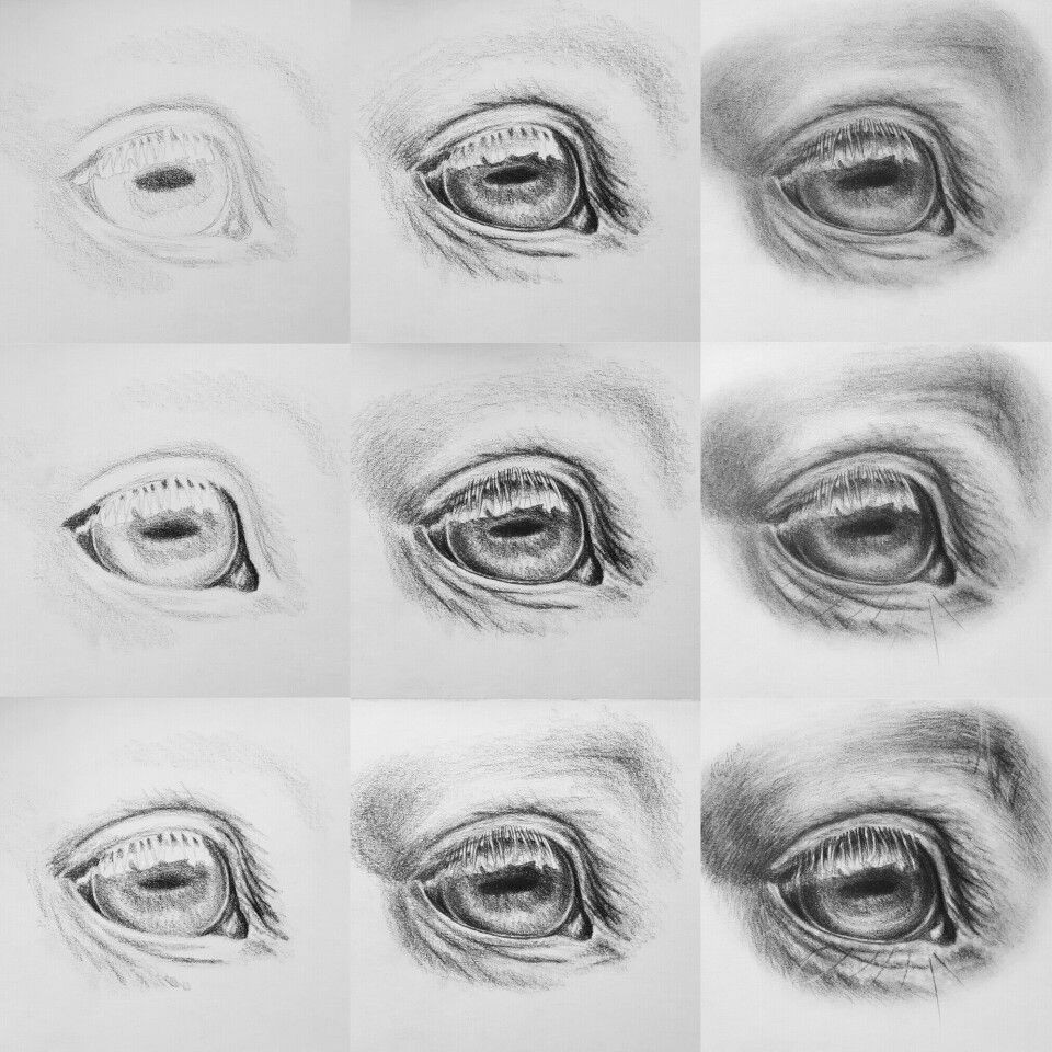 Drawing Of Right Eye Tutorial How to Draw A Realistic Horse Eye with Pencil Www Ars Rava