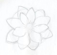 Drawing Of Rose and Lotus 361 Best Drawing Flowers Images Drawings Drawing Techniques