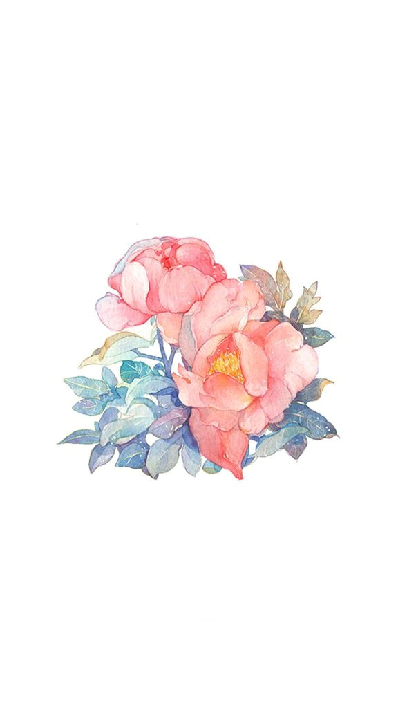 Drawing Of Rose Background Pin by Jhona Rose Echavez On Just My Thing Pinterest Flower Art