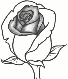 Drawing Of Rose Bud 163 Best How to Draw Rose Images Drawings Drawing Flowers How to