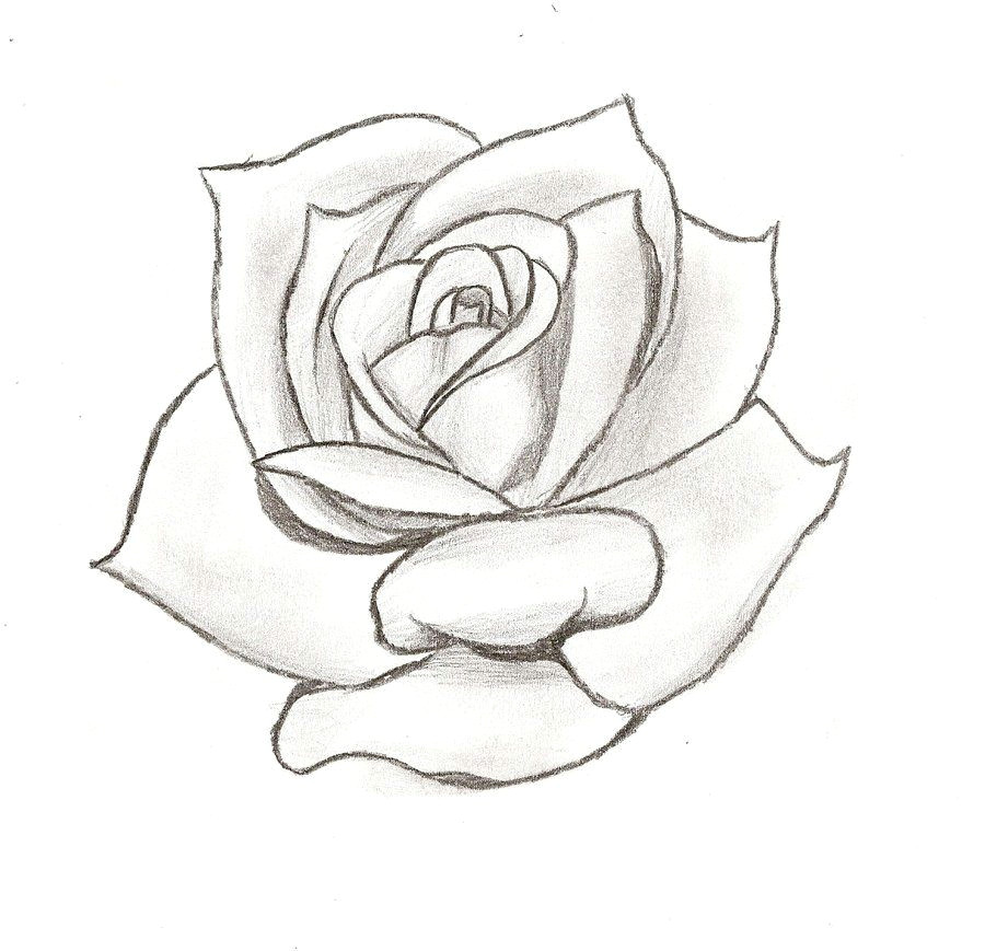 Drawing Of Rose Bud Line Drawing Rose Cliparts Co Drawing Art Tattoos Tattoo