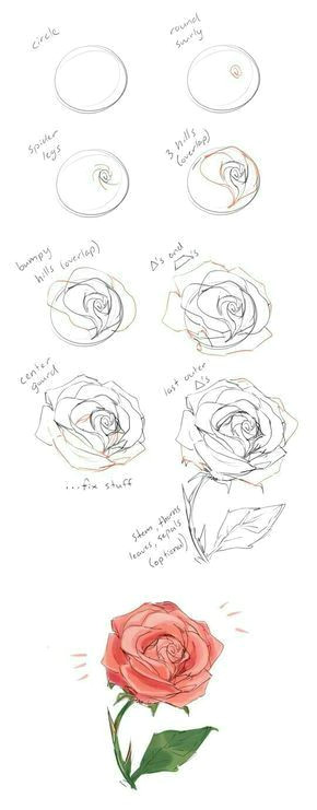 Drawing Of Rose Flower Step by Step Pin Von Silvia Janssen Auf Zeichnen In 2018 Pinterest Drawings
