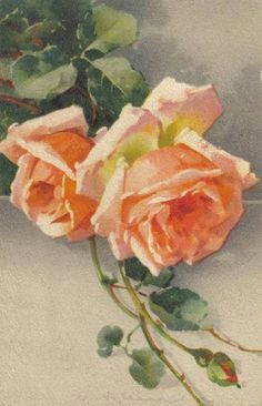 Drawing Of Rose Garden 577 Best Vintage Rose Garden Images Frames Paint Artworks