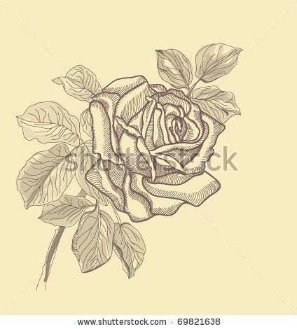 Drawing Of Rose In Hand Stock Vector Hand Drawing Rose Card Vector Version Eps 10