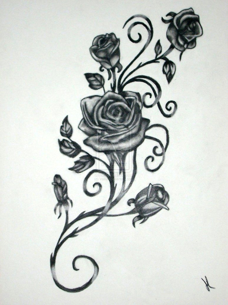 Drawing Of Rose In Hand Vine and Roses by Vaikin Tattoo S Rose Tattoos Tattoos Vine