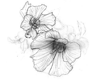 Drawing Of Rose Of Sharon 1000 Bilder Zu I sorta Want A Tattoo Auf Pinterest