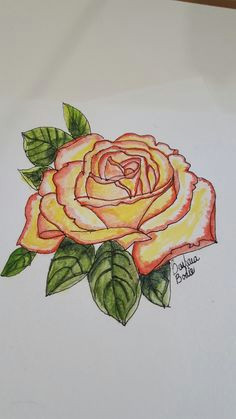 Drawing Of Rose On Paper 281 Best Art Drawing Flowers Images In 2019 Drawing Flowers