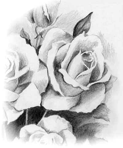 Drawing Of Rose On Paper Desenhar Rosas Tattoo Drawings Drawings Tattoo Drawings Sketches
