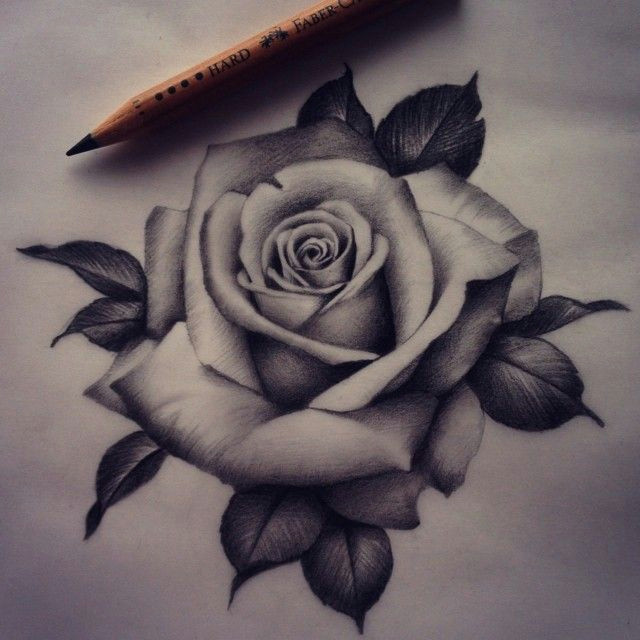 Drawing Of Rose Tattoo Design Pozrite Si Taoto Fotku Na Instagrame Od Poua A Vatea A